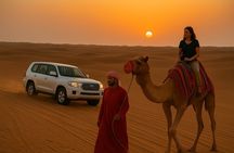 Evening Desert Safari with BBQ Dinner