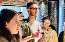 Wine Tour in Colonia del Sacramento History and Tastings