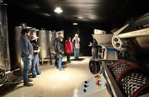 Wine Tour in Colonia del Sacramento History and Tastings