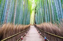 Kyoto Customized Private Tour with English Driver & Hotel Pickup