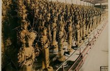 Kyoto: Private Sightseeing Tour with English Guide & Hotel Pickup