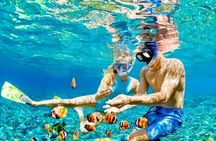 Bohol Province Balicasag Island Day Tour