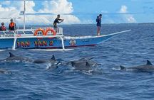 Bohol Province Balicasag Island Day Tour