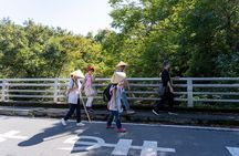 Tokyo Day Trip Chichibu Pilgrimage Shared Walking Tour