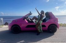 Private Island Tour on Buggy