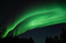 Ivalo: Wilderness Adventure by Snowmobile Sleigh