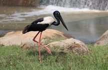 Yala Safari Day Trip from Bentota/ Kalutara/ Ahungalla/ Hikkaduwa