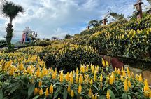 Cebu Private Half Day Highlands Tour with Food Options