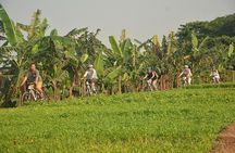 Half Day Hanoi City Tour by Bicycle