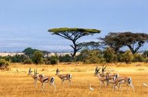 2 Days Safari Adventure in Serengeti National Park