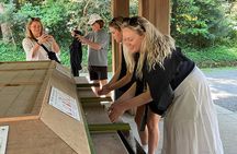 Tokyo Private Walking Tour with a Local Guide 5 Hours