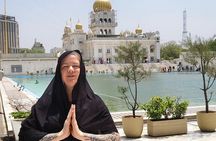 Private Delhi Sightseen Old & New City Tour Half And Full day