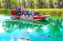 Miami / Port: Everglades Airboat Wildlife Experience