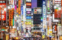 From Tokyo: Full Day Private Tour to Nikko