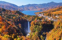 From Tokyo: Full Day Private Tour to Nikko