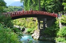 From Tokyo: Full Day Private Tour to Nikko