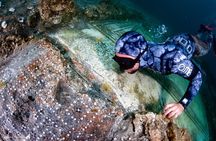 Snorkeling in the Sunken Pompeii Double Dive