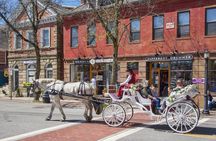 Wickford Horse Drawn Carriage Ride