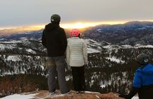 Woodland Park: 2 Hour Guided Wildlife Sunset UTV Tour - You Drive
