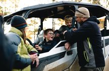 Woodland Park: 2 Hour Guided Wildlife Sunset UTV Tour - You Drive