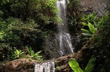 Endoro Falls and Forest Trail Experience