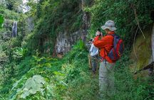 Endoro Falls and Forest Trail Experience