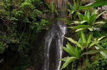 Endoro Falls and Forest Trail Experience