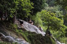 Dantewada Land of Angels and Sticky Waterfall Tour with Guide