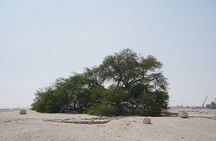 Shore Excursions from Port for Cruisers in Bahrain