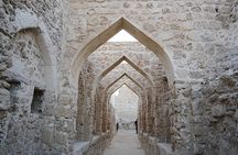 Shore Excursions from Port for Cruisers in Bahrain