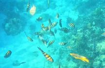 Island Skipper Private Boat Charter & Snorkel Experience