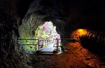 Private Tour in Hilo Island of Hawaii