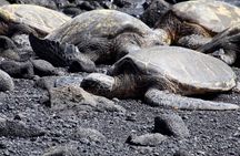 Private Tour in Hilo Island of Hawaii