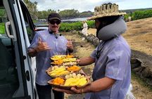 Private Tour in Hilo Island of Hawaii