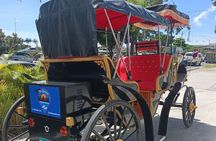 Electric Carriage Tour of the Old Town