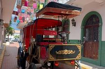 Electric Carriage Tour of the Old Town