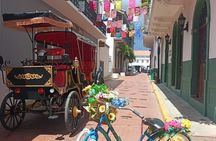 Electric Carriage Tour of the Old Town