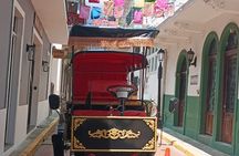 Electric Carriage Tour of the Old Town
