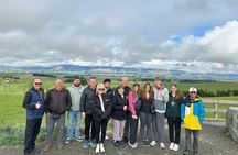 Christchurch to Tekapo Small-Group Tour (one-way)