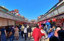 Tokyo:Meiji Shrine,Imperial Palace,Asakusa,Odaiba,cruise