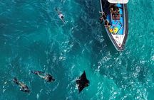 Bali Nusa Penida Snorkeling with Manta Rays and Island Tour
