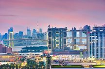 Tokyo Customized and Private Tour by Car with Driver Guide