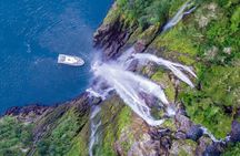 TeAnau to Queenstown via Milford Sound Tour with Cruise and Lunch