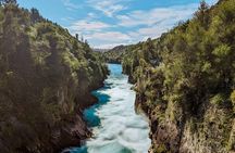 Rotorua to Auckland via Taupo and Hamilton Gardens Tour (one-way)