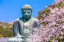 Yokohama and Kamakura Private Full Day Tour with English Guide
