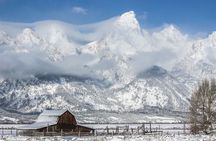 4 Hour Wildlife Safari in Grand Teton National Park