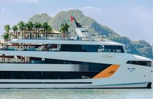 Dolphin Luxury Day Cruise: Discover the Best of Halong Bay 