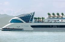 Dolphin Luxury Day Cruise: Discover the Best of Halong Bay 