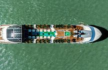Dolphin Luxury Day Cruise: Discover the Best of Halong Bay 