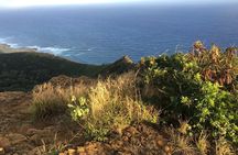 Koko Head Hike with Pickup and Drop-off